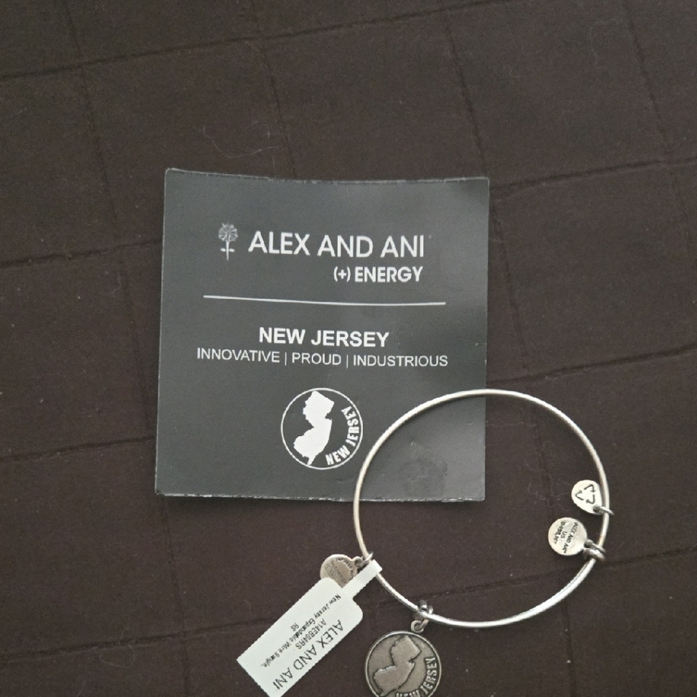 Alex and Ani Silver New Jersey Charm Bracelet